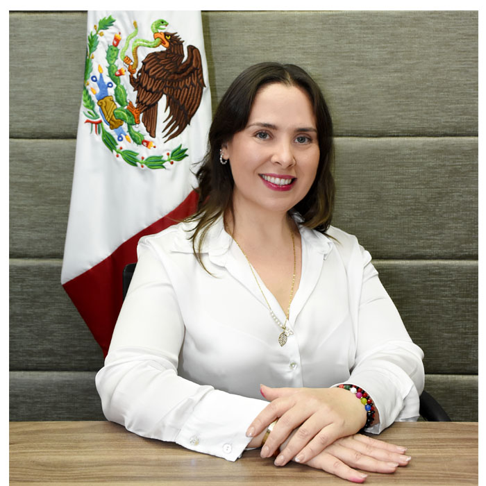 Ing. Dalia Jazmin Guerrero Sandoval 